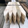 Treated Pine Pointed Pegs 50x25mm - Image 9