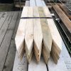 Treated Pine Pointed Pegs 50x25mm - Image 8