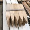 Treated Pine Pointed Pegs 50x25mm - Image 7