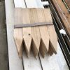 Treated Pine Pointed Pegs 50x25mm - Image 6
