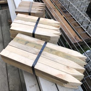 Treated Pine Pointed Pegs 50x25mm